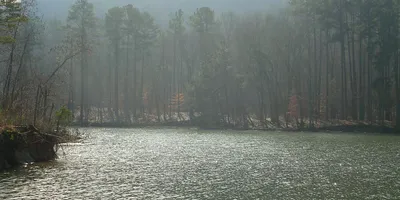 Scenic view of Lake Guntersville with calm water and forested shoreline, Alabama