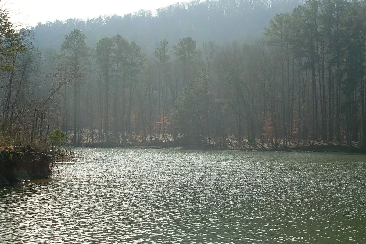 Scenic view of Lake Guntersville with calm water and forested shoreline, Alabama