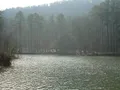 Scenic view of Lake Guntersville with calm water and forested shoreline, Alabama