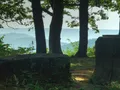 Scenic forested mountain view at Monte Sano State Park, Alabama