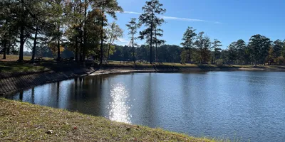 Scenic lakeshore view at Wind Creek State Park, Alabama, with tall pines reflected in the calm waters of Lake Martin