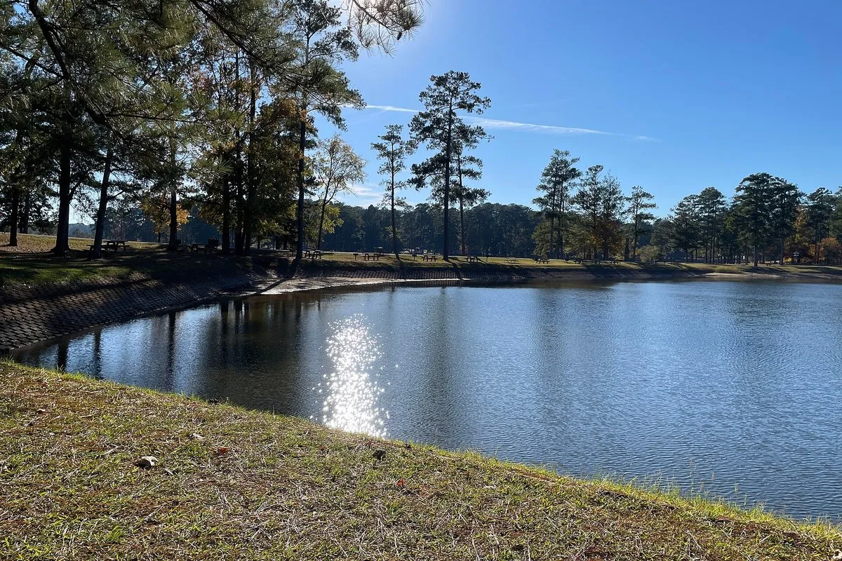 Scenic lakeshore view at Wind Creek State Park, Alabama, with tall pines reflected in the calm waters of Lake Martin