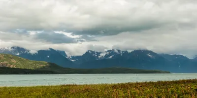 Chilkat State Park, Haines, Alaska, United States