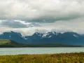 Chilkat State Park, Haines, Alaska, United States