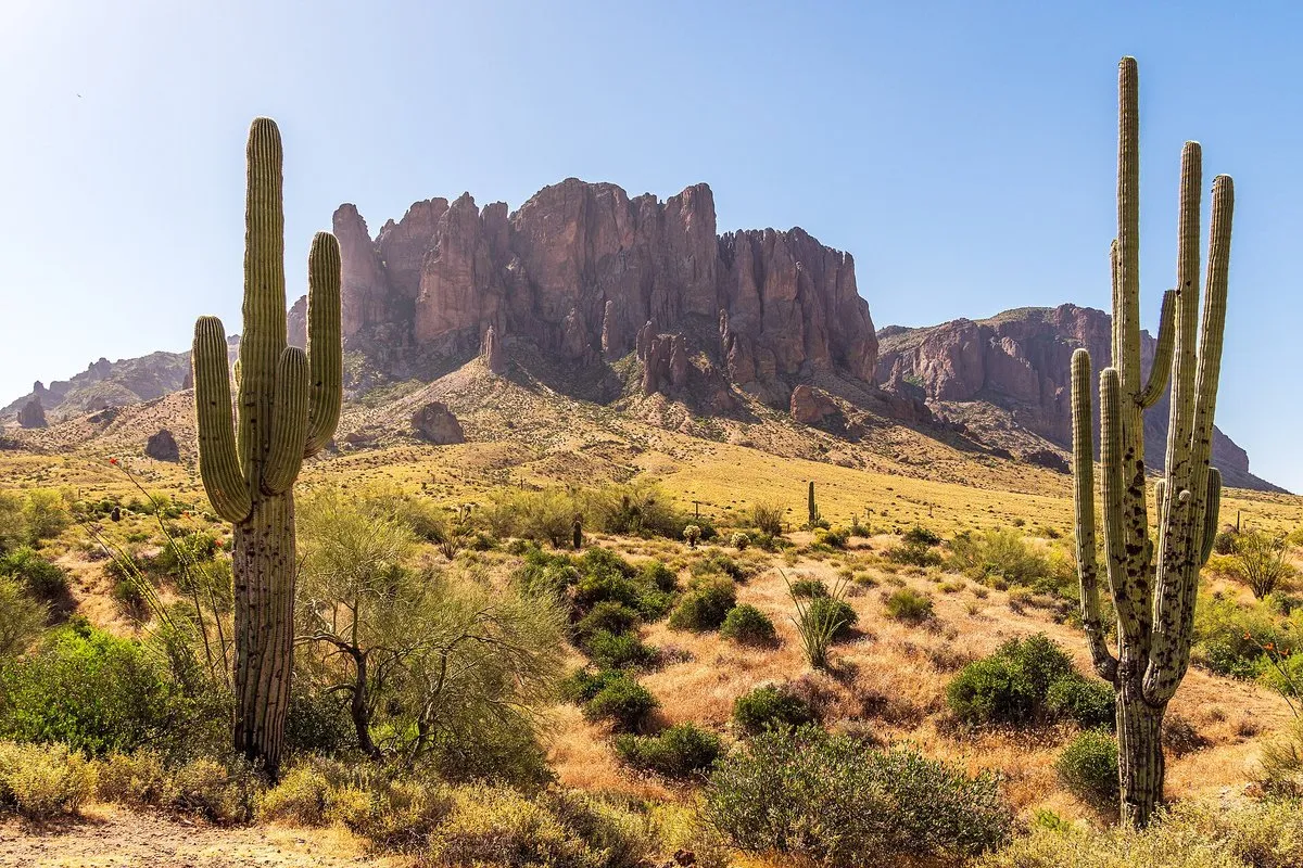 Scenic view of rugged Superstition Mountains rising above Sonoran Desert cactus at Lost Dutchman State Park, Arizona