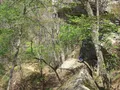Scenic view of rocky sandstone crevices and lush forest at Devil's Den State Park, Arkansas