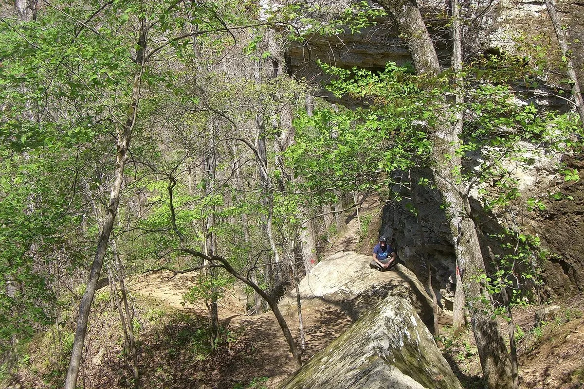 Scenic view of rocky sandstone crevices and lush forest at Devil's Den State Park, Arkansas