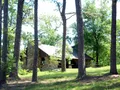 Scenic view at Petit Jean State Park, Arkansas, showing forested canyon landscape