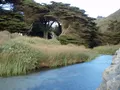 Scenic view at Pfeiffer Big Sur, California