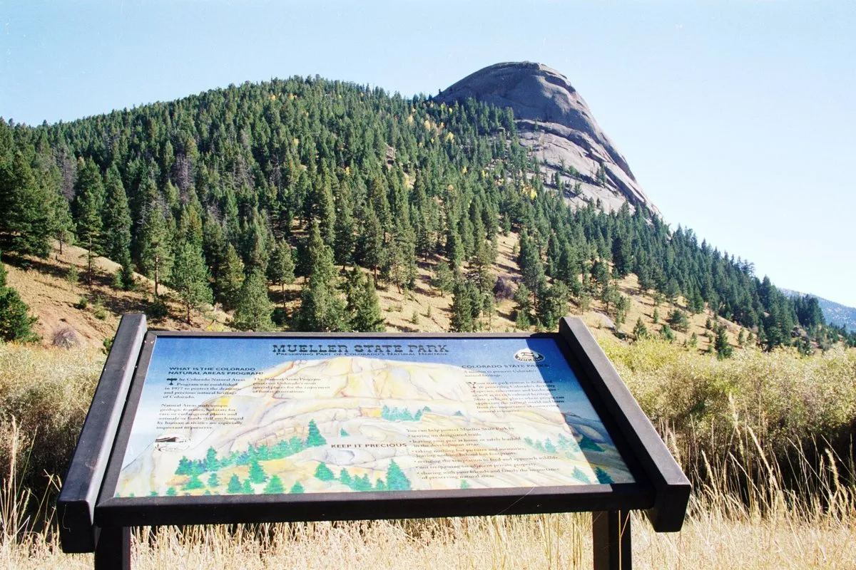 Scenic view at Mueller State Park, Colorado, with forested hillsides and mountain vistas