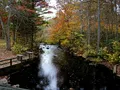 Scenic view at Devil's Hopyard State Park, Connecticut, featuring Chapman Falls cascading over rocky ledges surrounded by lush forest
