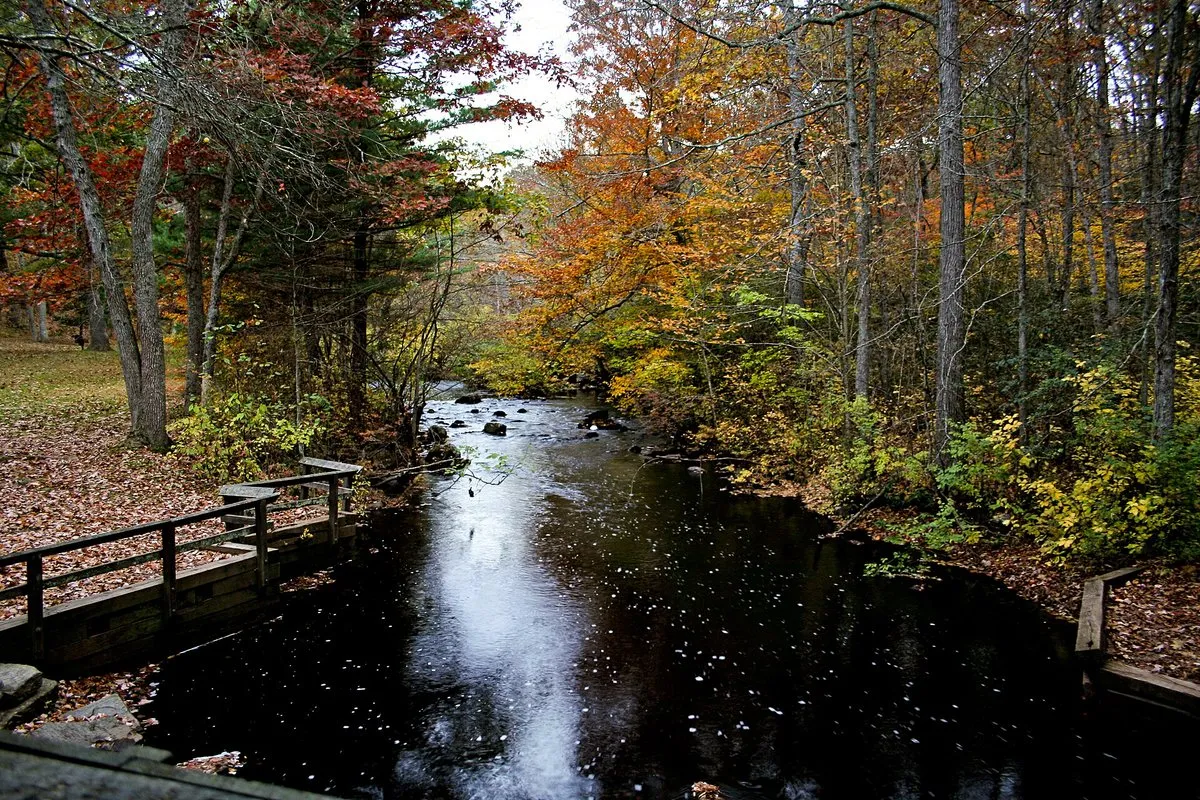 Scenic view at Devil's Hopyard State Park, Connecticut, featuring Chapman Falls cascading over rocky ledges surrounded by lush forest