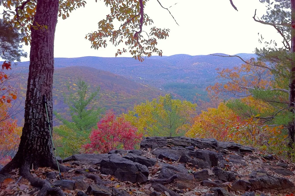 Scenic view of the Housatonic River winding through forested meadows at Housatonic Meadows State Park, Connecticut