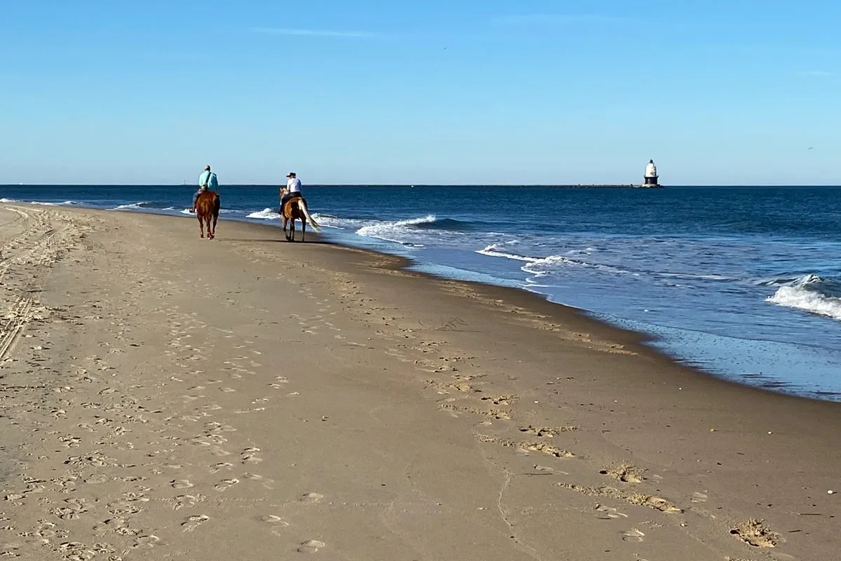 Scenic view of sandy dunes and Atlantic shoreline at Cape Henlopen State Park, Delaware