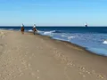 Scenic view of sandy dunes and Atlantic shoreline at Cape Henlopen State Park, Delaware