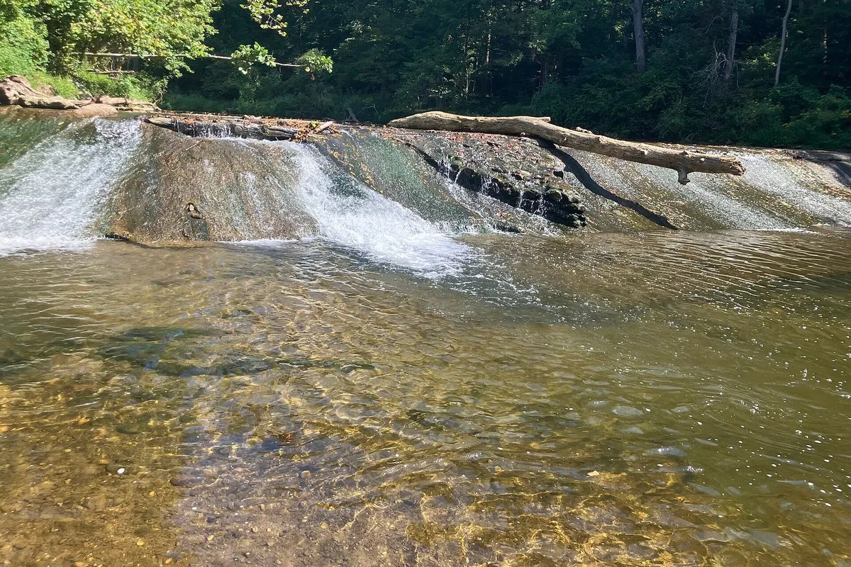 Scenic view at White Clay Creek, Delaware, showing a forested creek corridor with sunlight filtering through the tree canopy