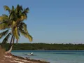 Turquoise waters and white sandy beach at Bahia Honda State Park, Florida Keys