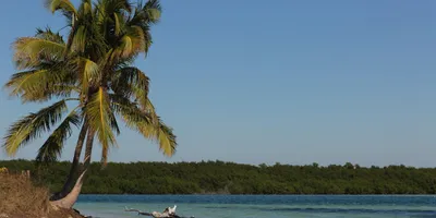 Turquoise waters and white sandy beach at Bahia Honda State Park, Florida Keys