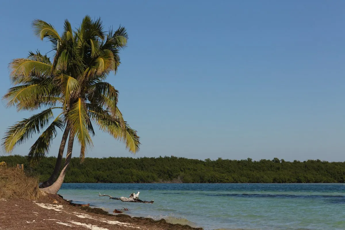 Turquoise waters and white sandy beach at Bahia Honda State Park, Florida Keys