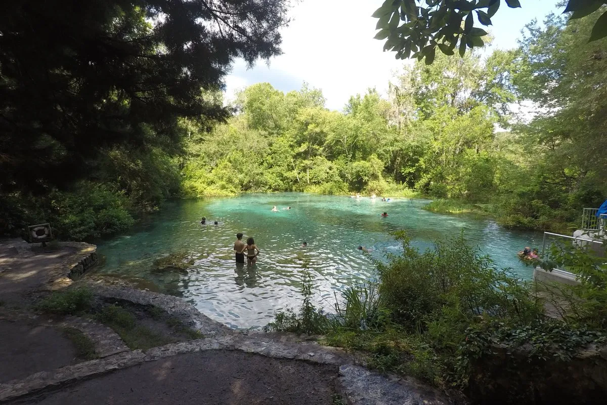 Crystal-clear spring-fed river winding through lush green forest at Ichetucknee Springs, Florida