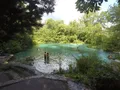Crystal-clear spring-fed river winding through lush green forest at Ichetucknee Springs, Florida