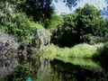 Scenic view of the Myakka River winding through lush Florida wetlands and grasslands