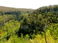 Sweeping aerial view of Cloudland Canyon's forested gorge and canyon rim in Georgia