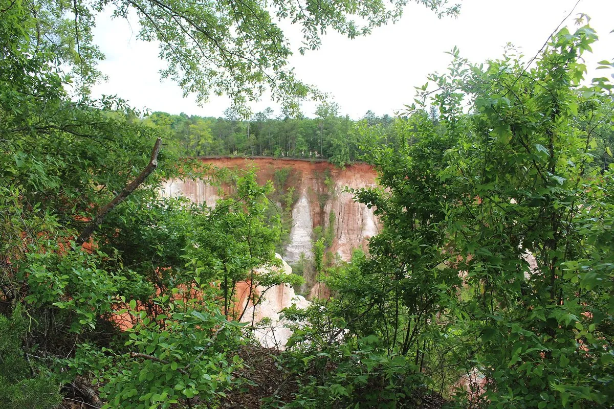 Colorful layered canyon walls with vivid pink, red, and white soil striations at Providence Canyon, Georgia