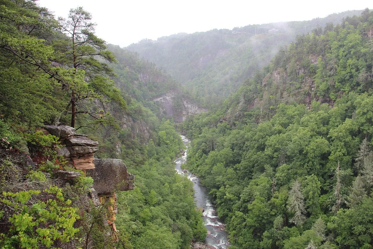 Scenic view of the deep rocky gorge and waterfalls at Tallulah Gorge, Georgia