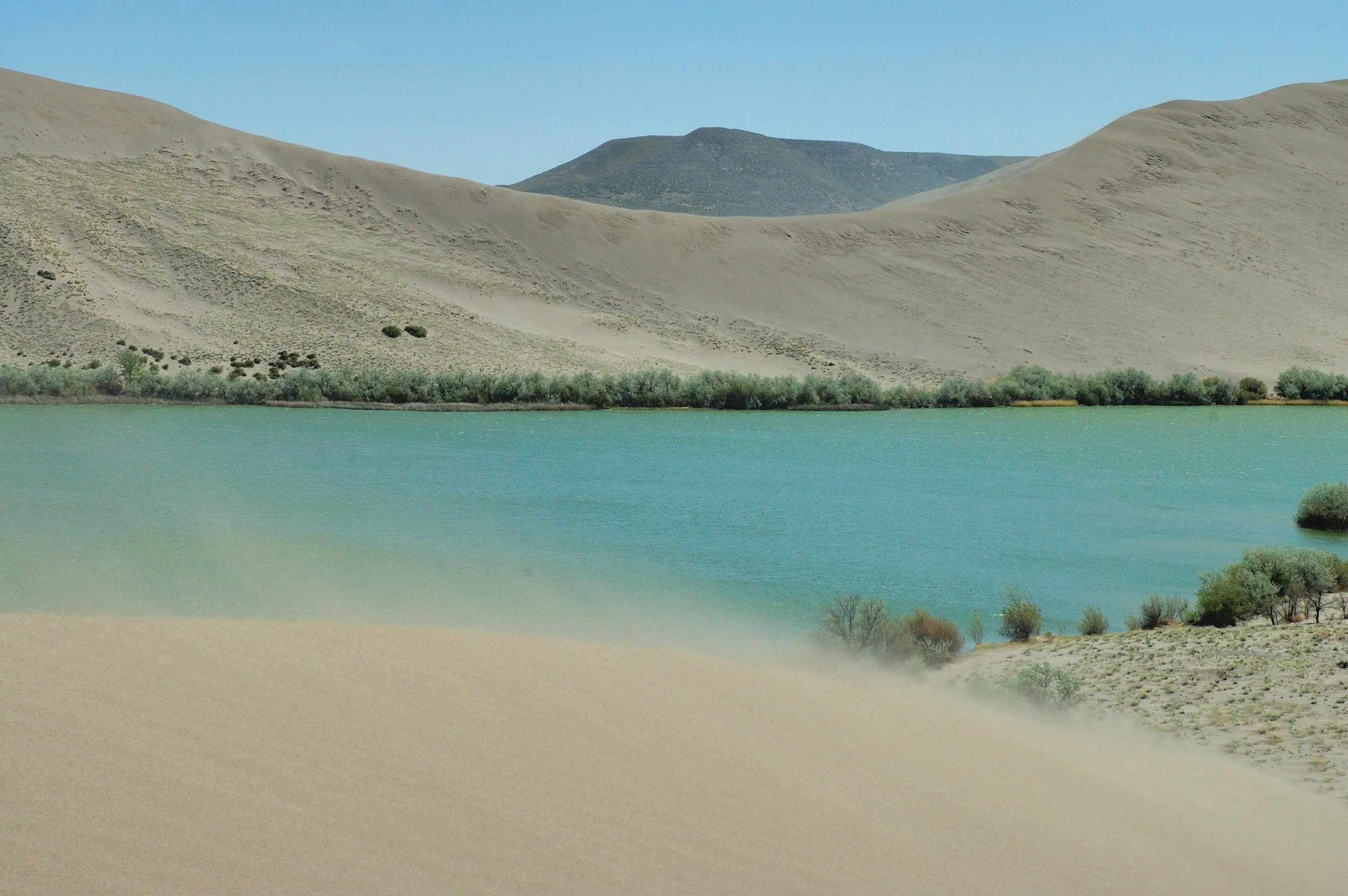 Sand dunes at Bruneau Dunes State Park