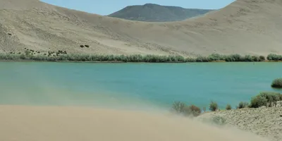 Sand dunes at Bruneau Dunes State Park