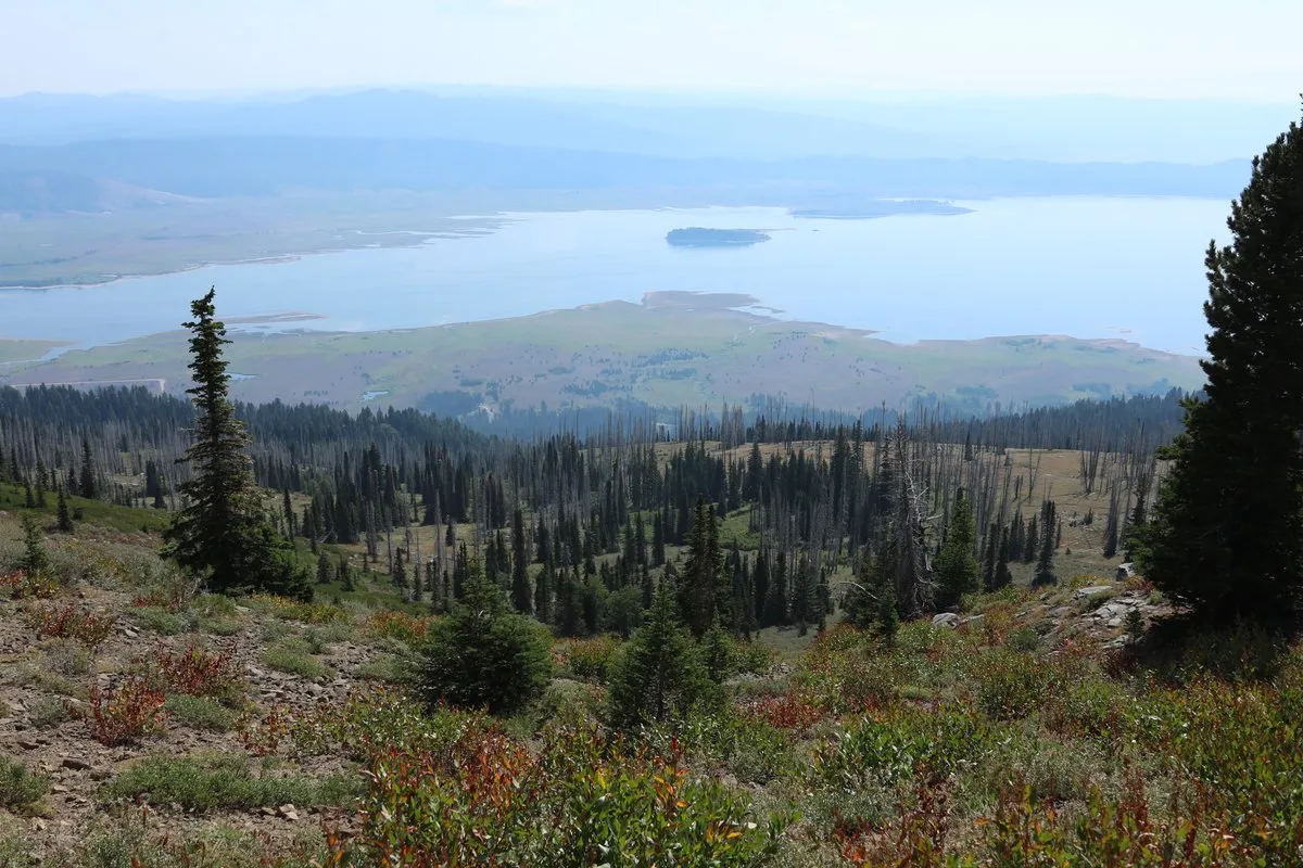 Scenic view at Lake Cascade, Idaho, with the reservoir reflecting blue skies and surrounding forested hills