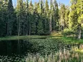 Calm glacial lake surrounded by tall evergreen forest at Round Lake State Park, Idaho