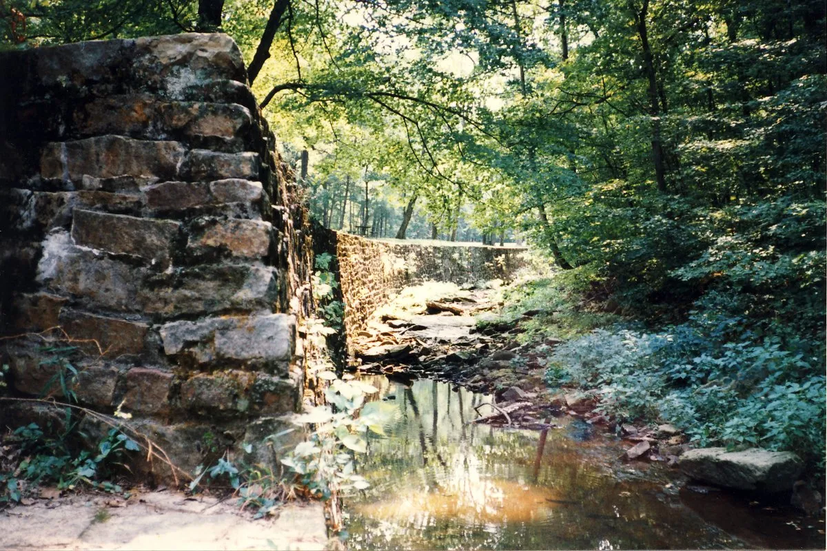 Towering sandstone rock formations forming a street-like corridor at Giant City State Park, Illinois