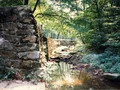 Towering sandstone rock formations forming a street-like corridor at Giant City State Park, Illinois