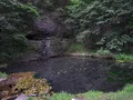 Scenic view of the rugged dolomite ridge and forested river valley at Backbone State Park, Iowa