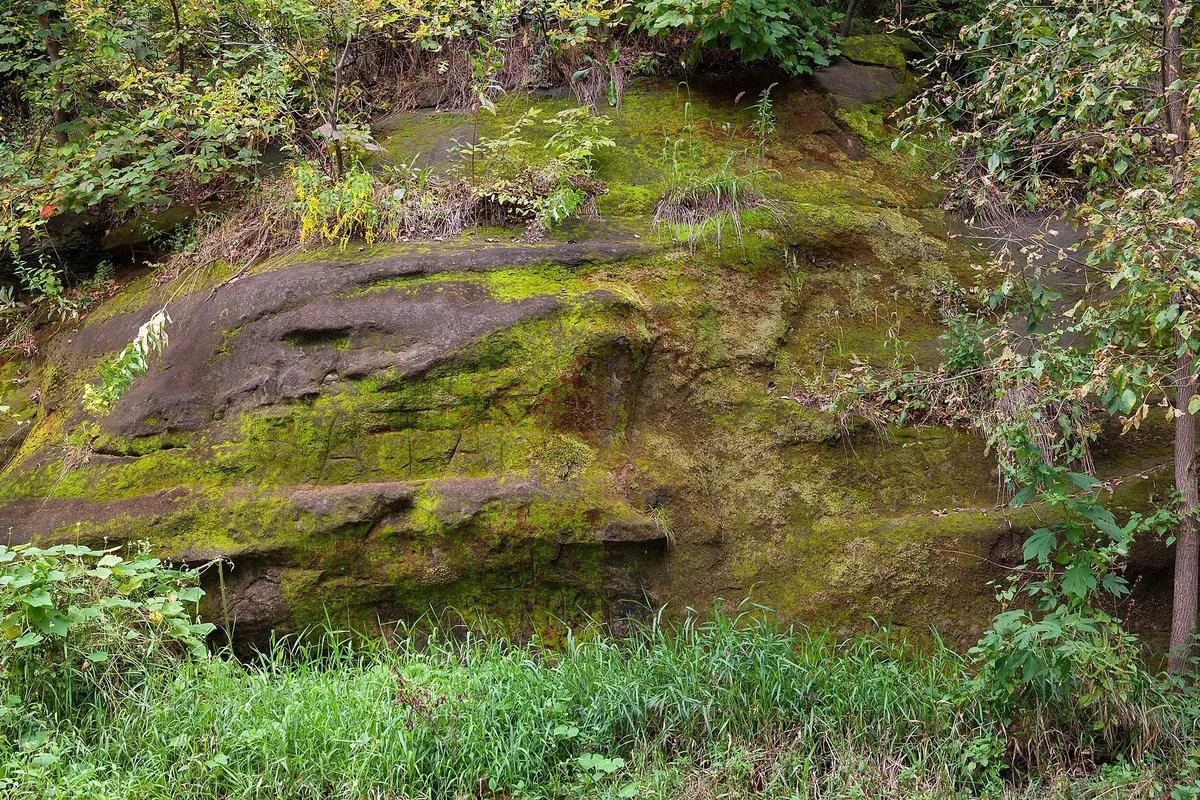 Scenic view of sandstone ledge formations and wooded canyon at Ledges State Park, Iowa