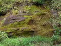 Scenic view of sandstone ledge formations and wooded canyon at Ledges State Park, Iowa