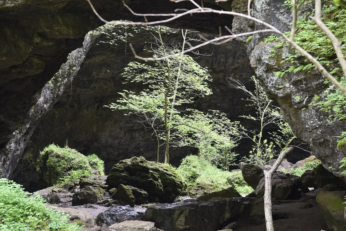 Scenic view at Maquoketa Caves, Iowa, showing a hiker exploring a large limestone cave entrance surrounded by lush forest