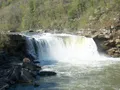 Powerful Cumberland Falls waterfall cascading into the Cumberland River, surrounded by lush forest in Kentucky