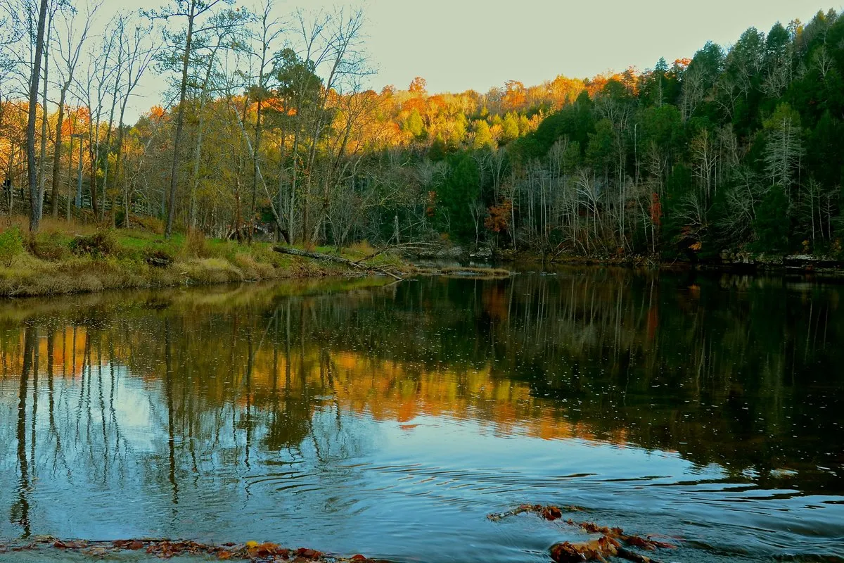 Scenic view of Lake Cumberland's calm blue waters framed by forested hillsides, Kentucky