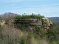 Scenic view at Natural Bridge, Kentucky, showing the massive sandstone arch spanning the forested ridge