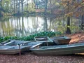 Cypress trees and calm bayou waters reflecting green foliage at Chemin-A-Haut State Park, Louisiana
