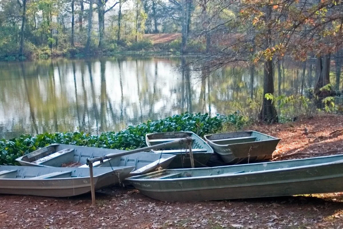 Cypress trees and calm bayou waters reflecting green foliage at Chemin-A-Haut State Park, Louisiana