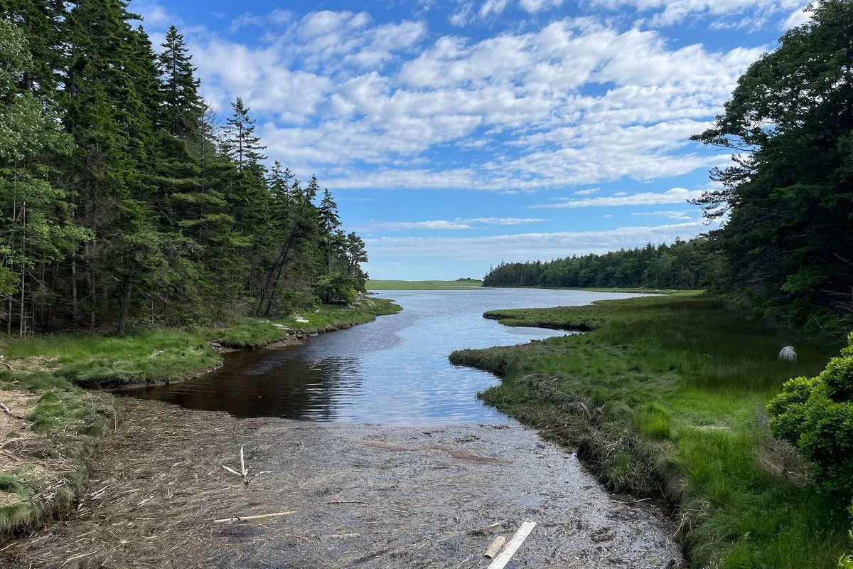 Scenic view of Reid State Park's sandy beach and Atlantic coastline, Maine
