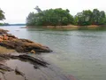 Scenic view at Wolfe's Neck Woods State Park, Maine, showing rocky coastline and forested shoreline along Casco Bay