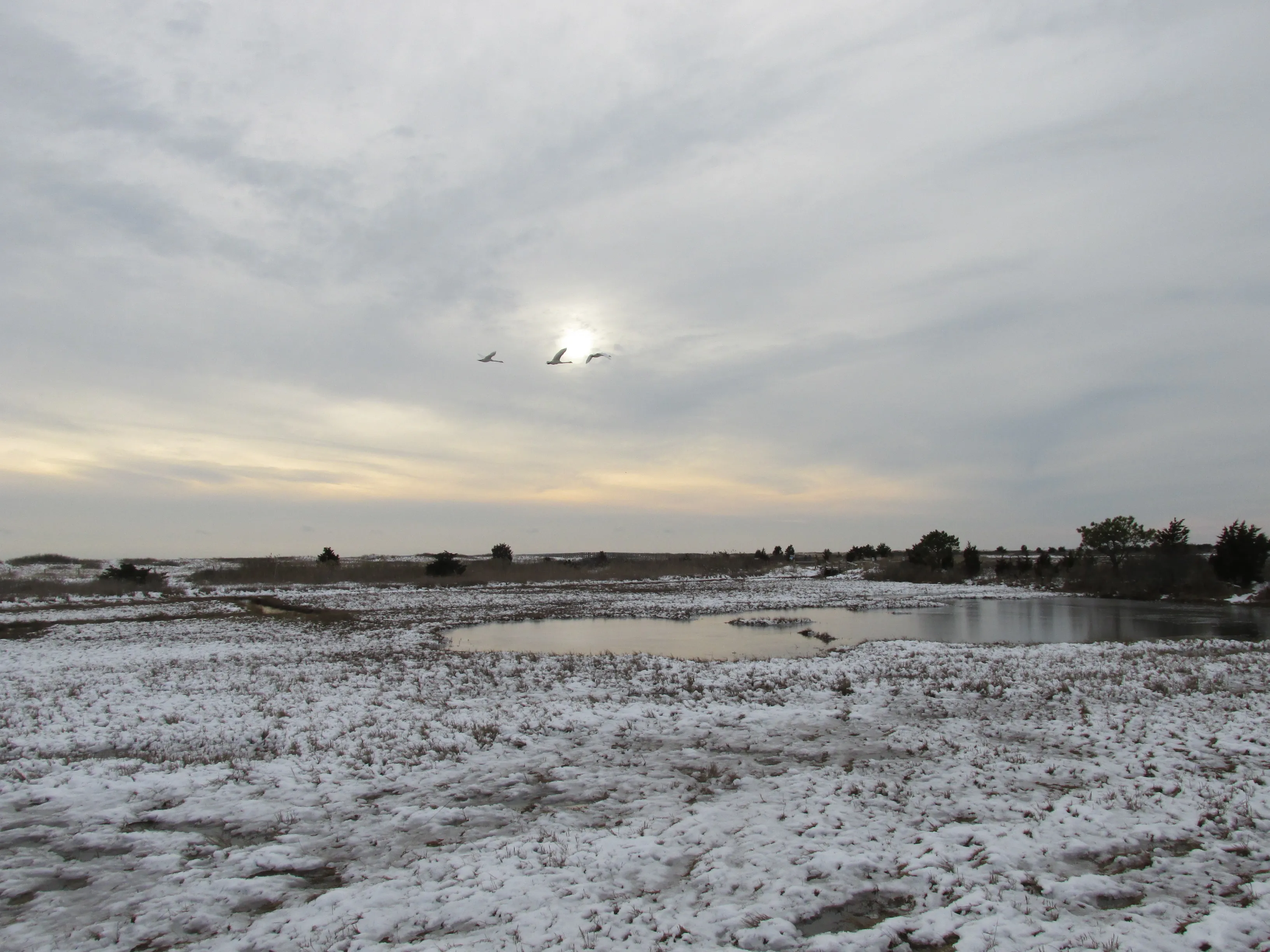 South Cape Beach State Park, Mashpee, Massachusetts