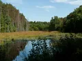 Wells State Park, Sturbridge