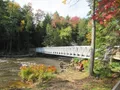 Scenic view of the wide, amber-colored Upper Tahquamenon Falls cascading over a forested gorge in Michigan