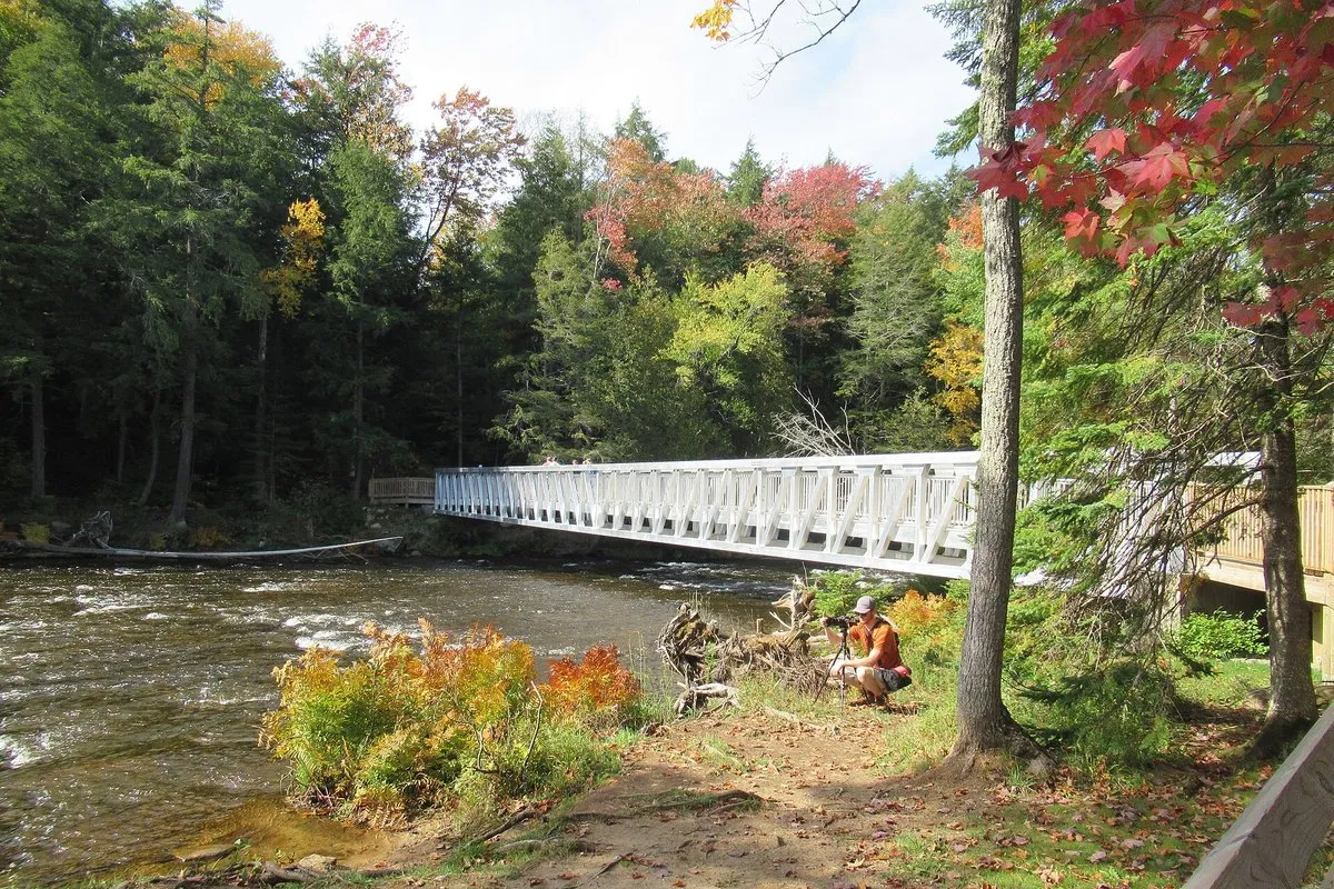 Scenic view of the wide, amber-colored Upper Tahquamenon Falls cascading over a forested gorge in Michigan